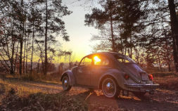 VW Brouk